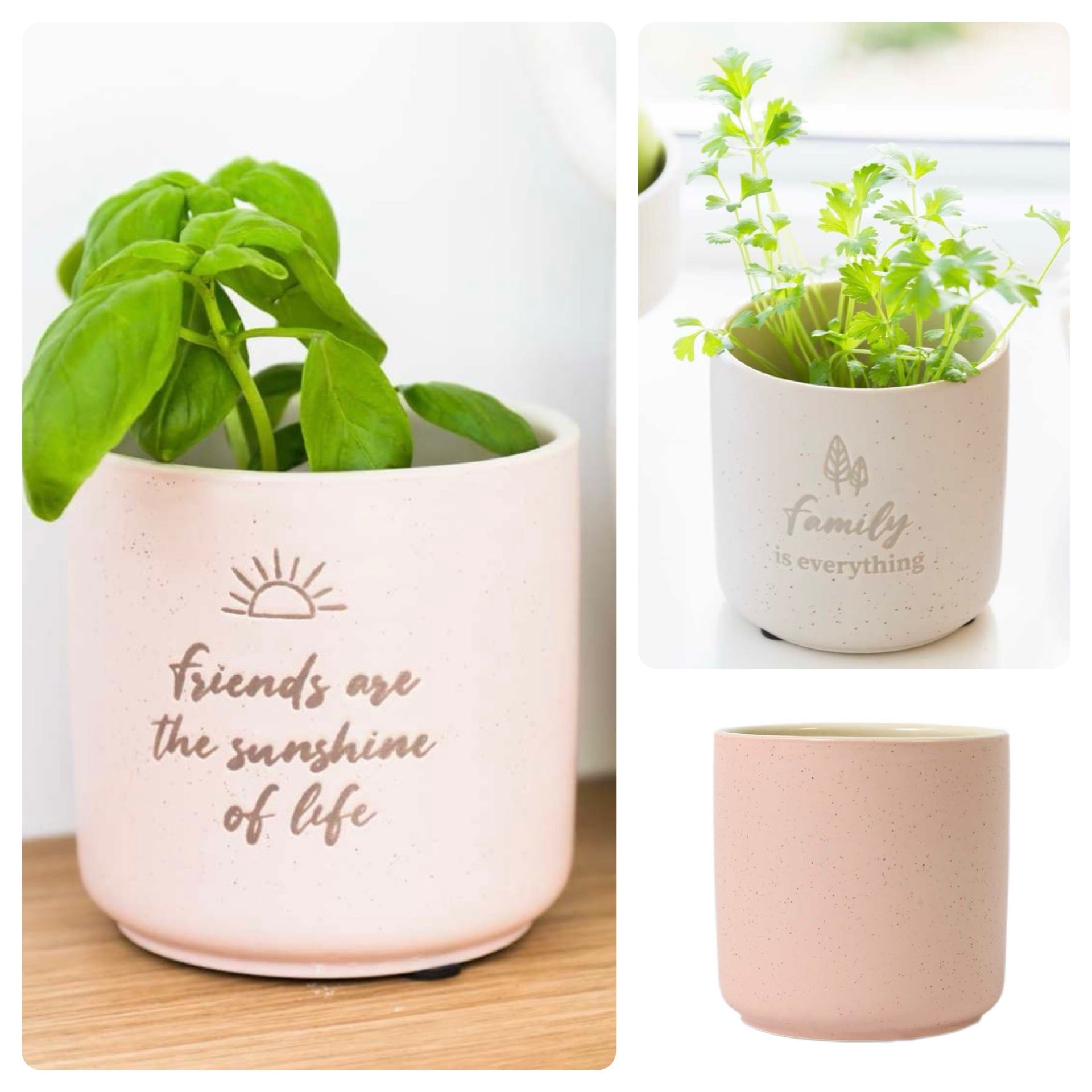 Assorted “Positive” Planter Pots