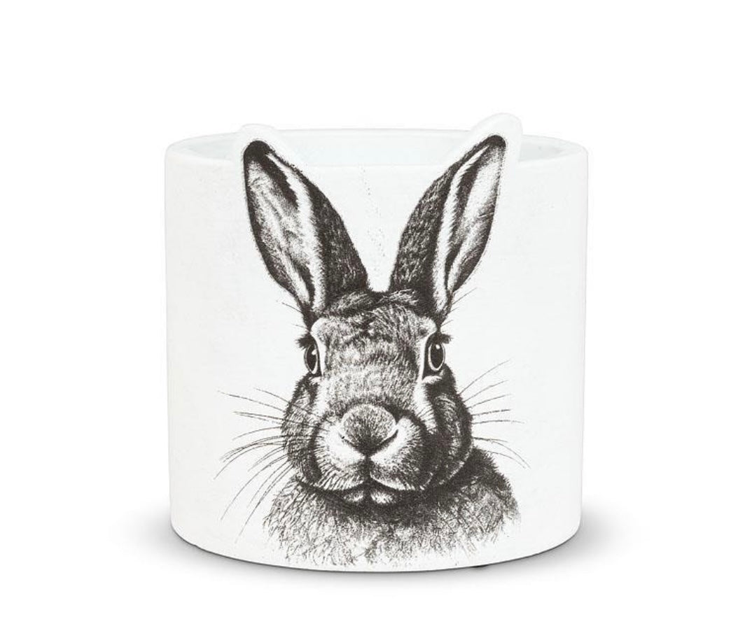 Small Bunny Sketch Planter Pot