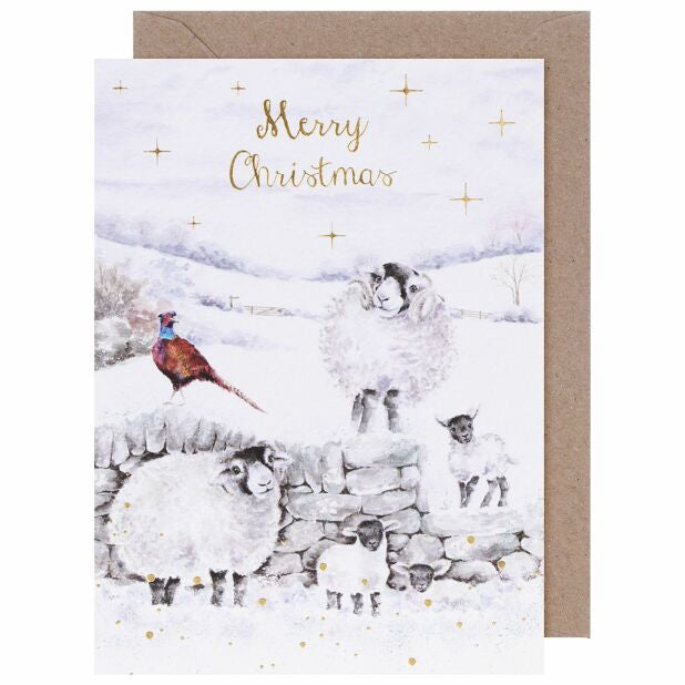 Merry Christmas To Ewe Christmas Card Pack