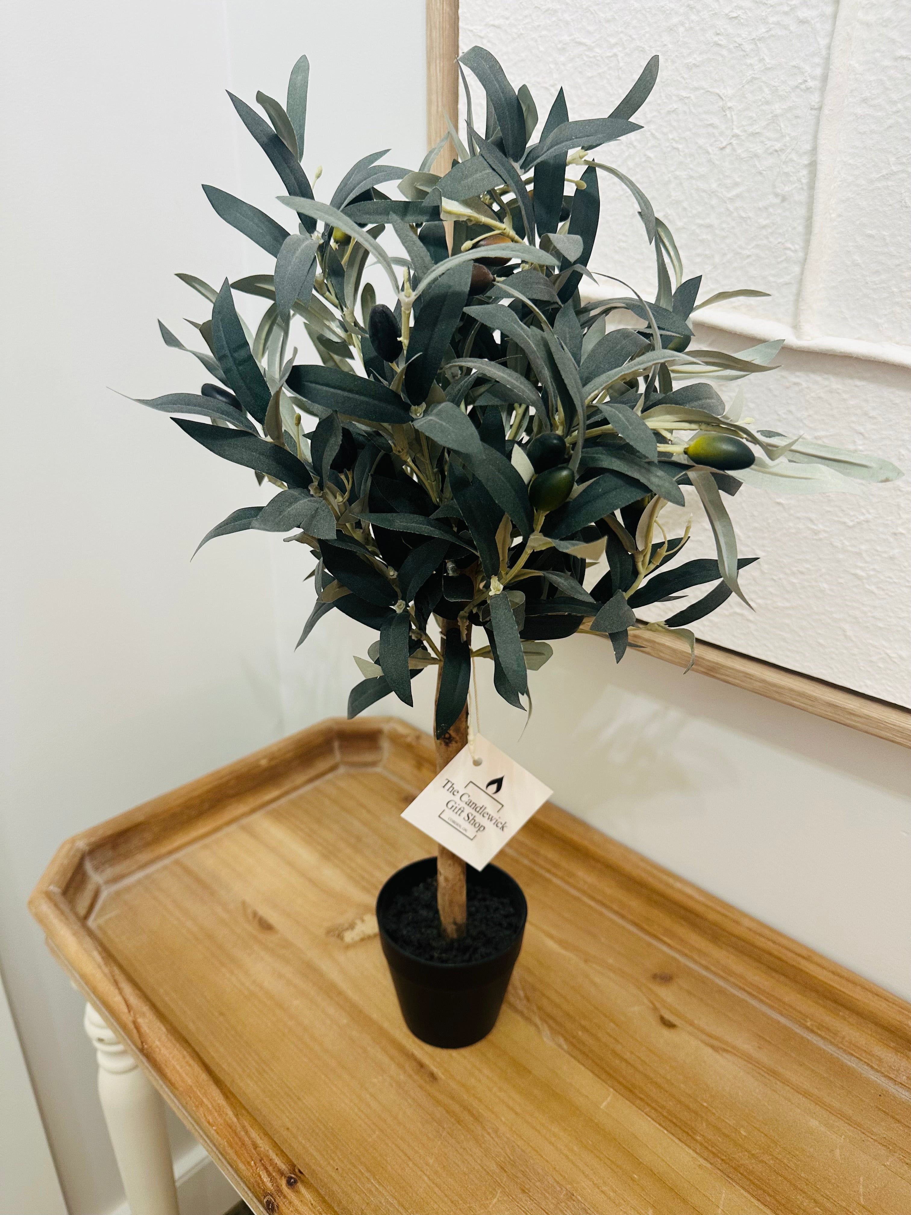 Mini Potted Olive Tree Decor