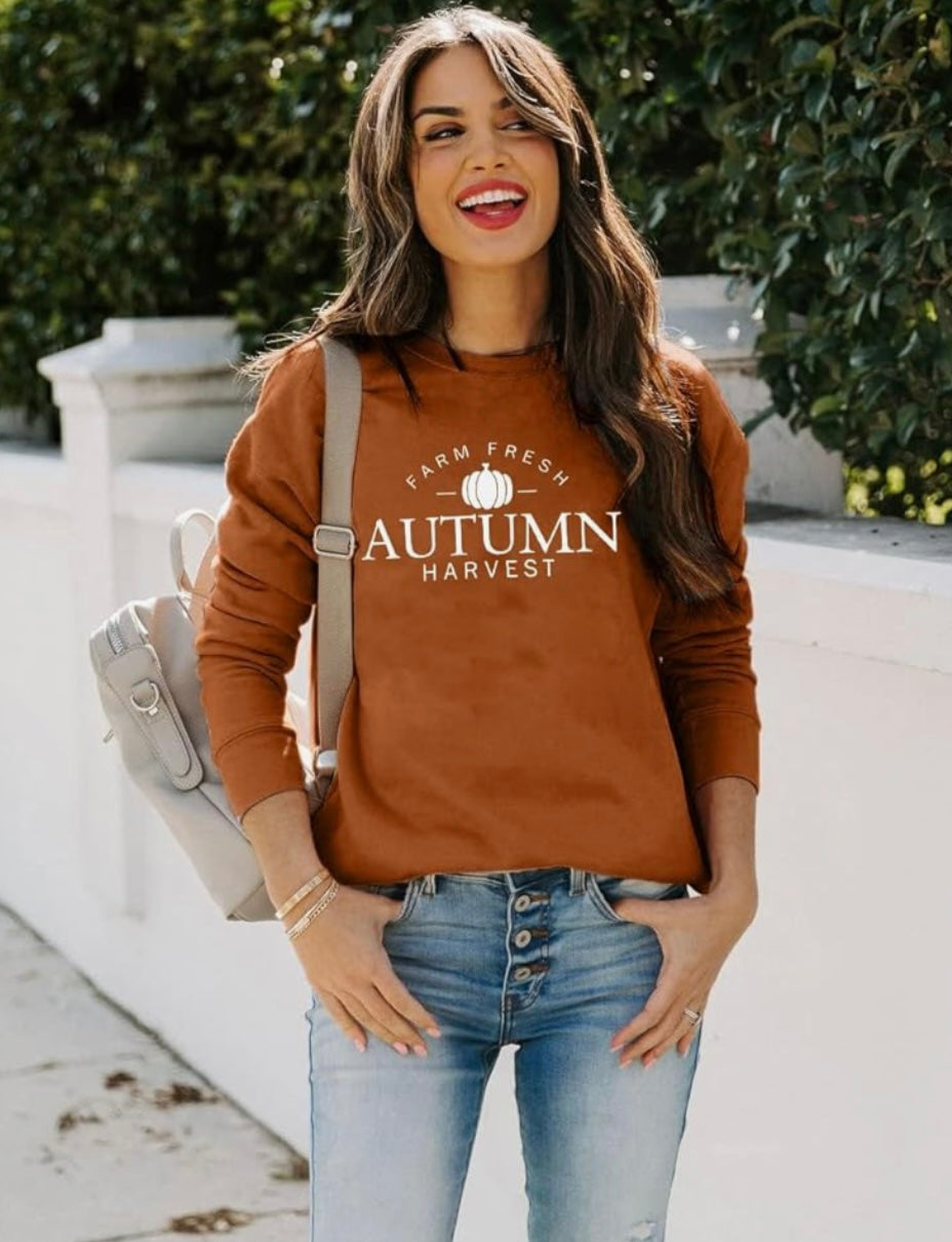 Autumn Harvest Crewneck/Brown