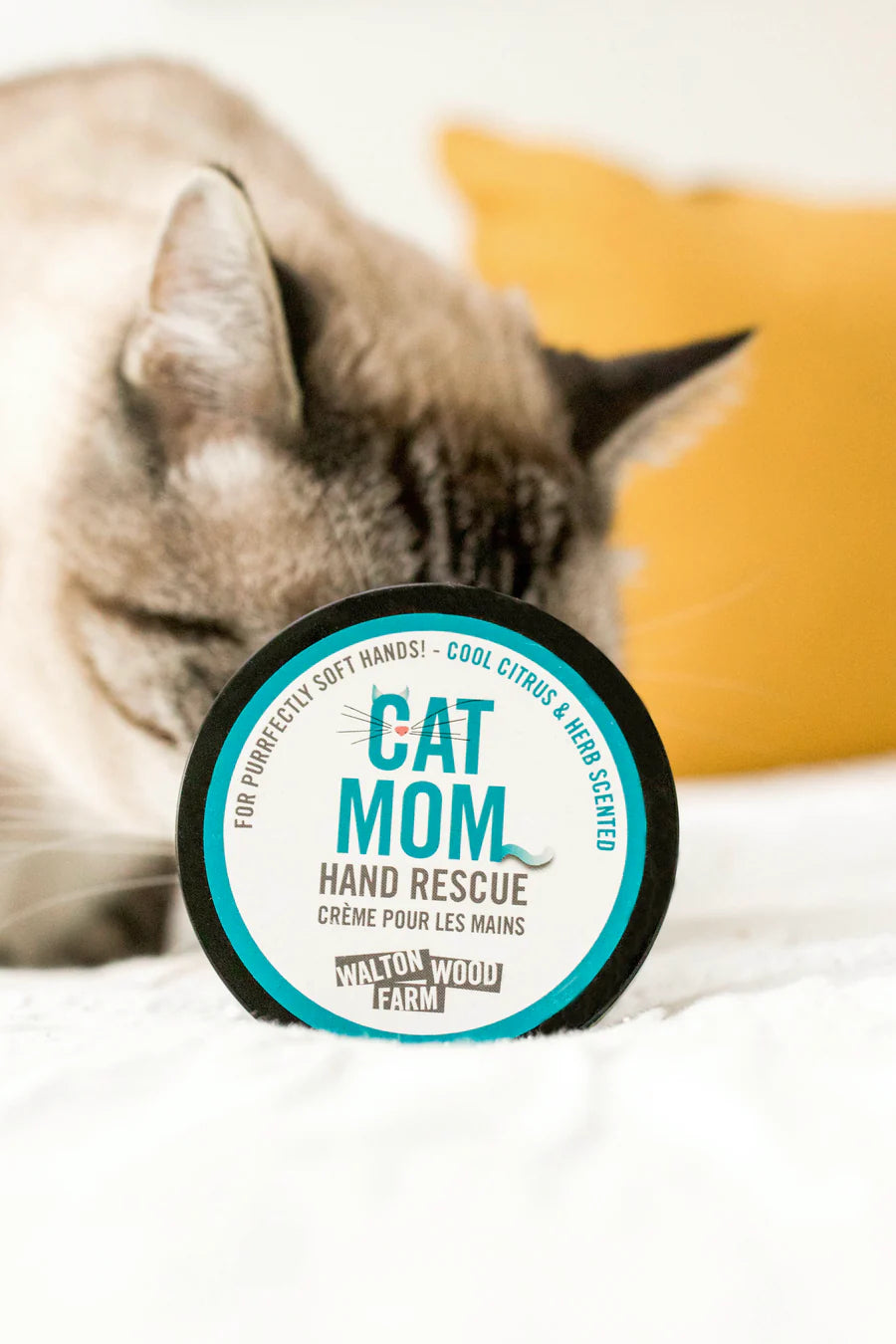 Cat Mom Hand Rescue