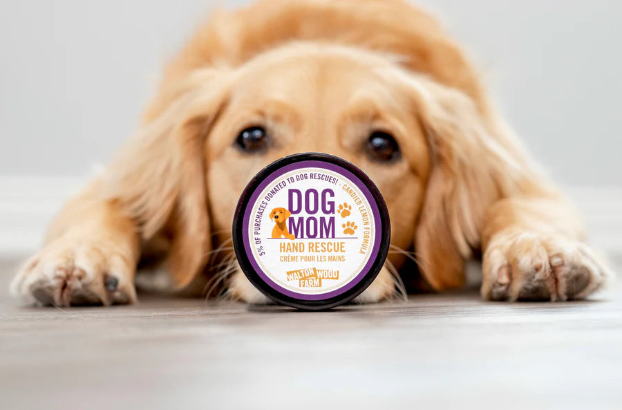 Dog Mom Hand Rescue