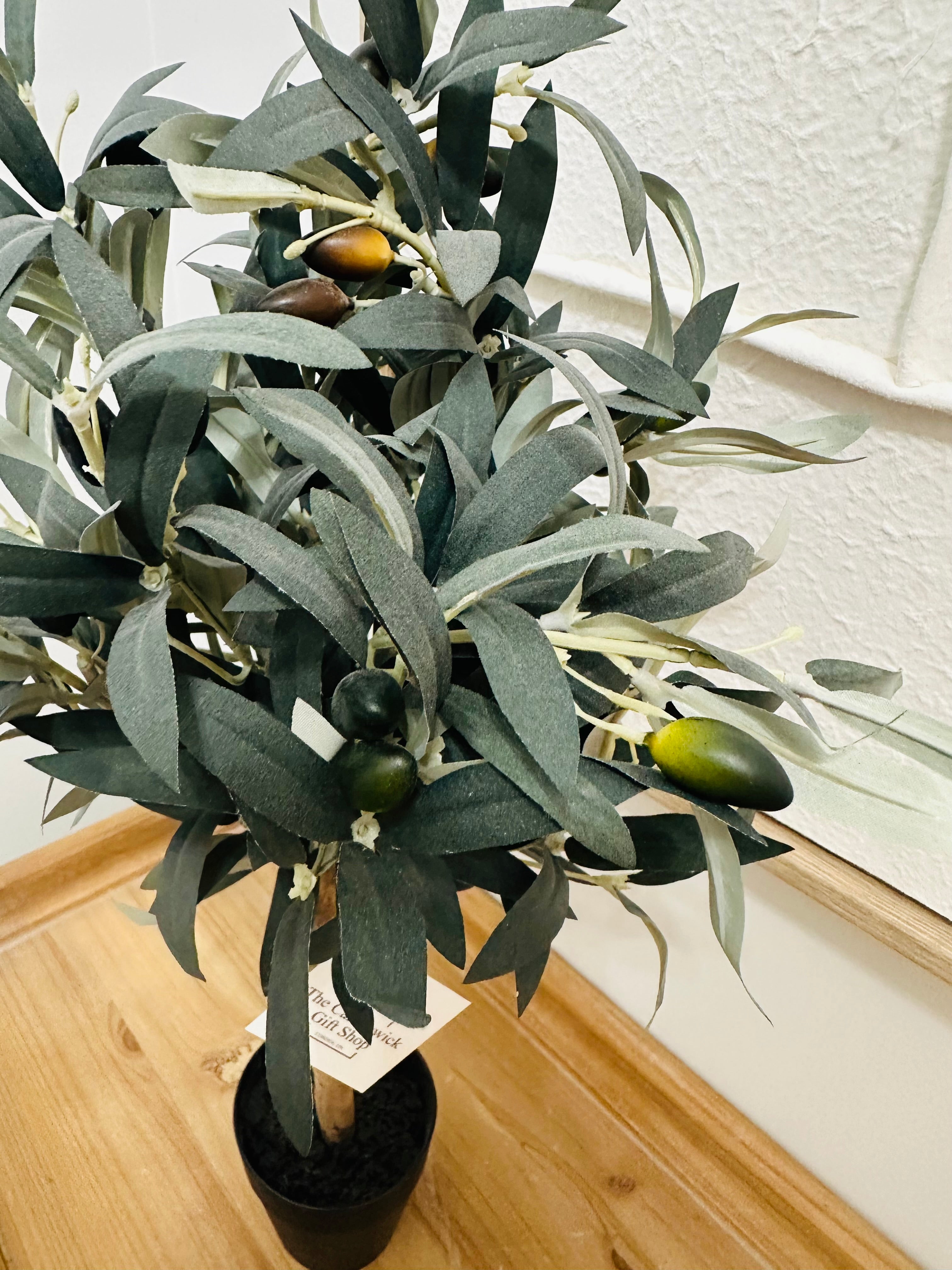 Mini Potted Olive Tree Decor