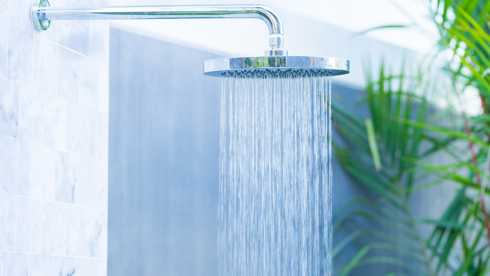 Recover Single Shower Steamer