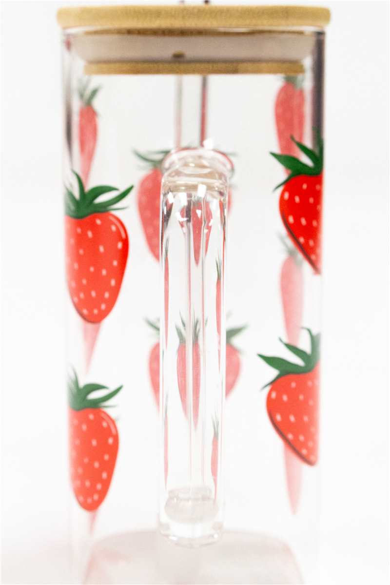 Fruit Glass Tumbler w/Handle