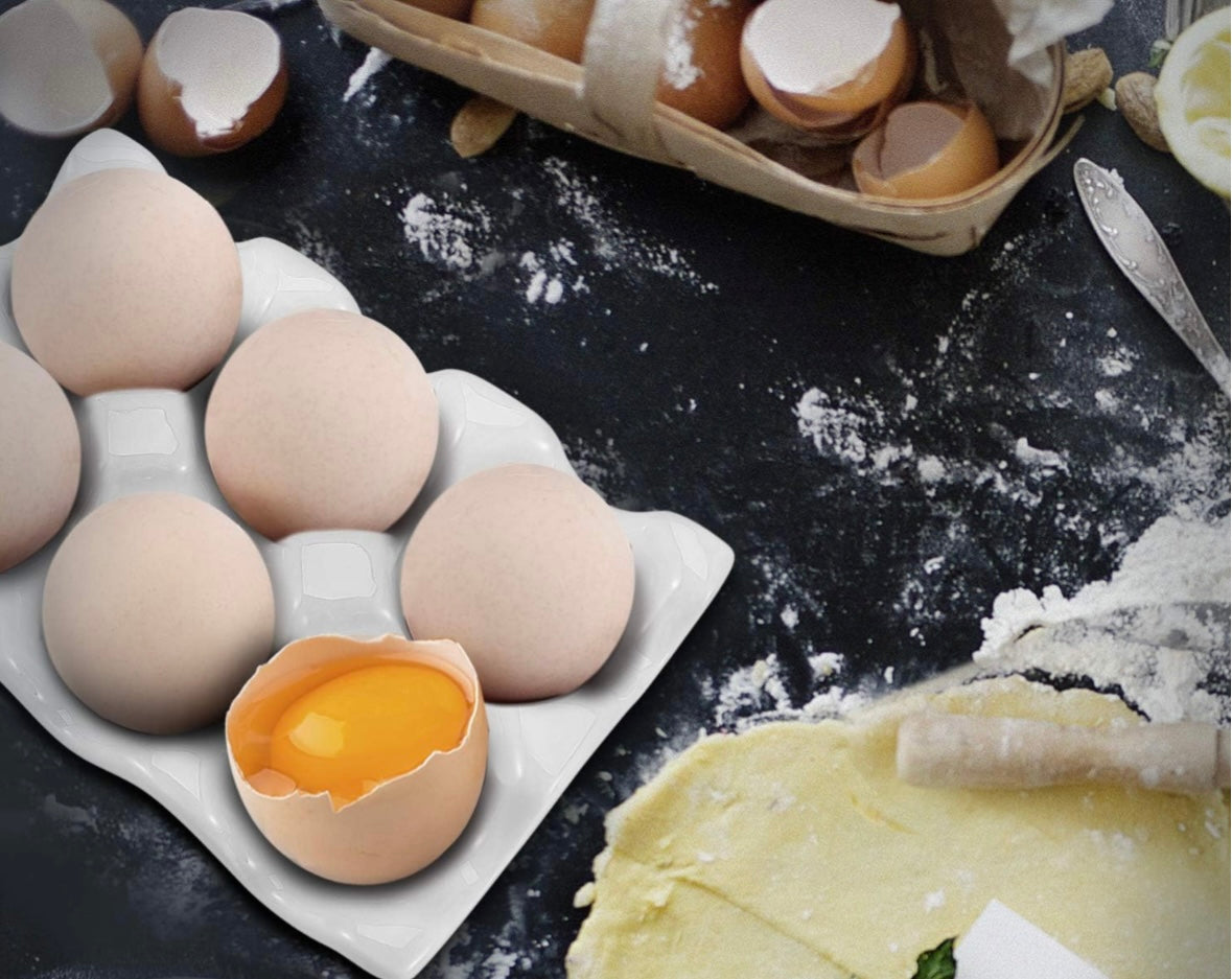 Ceramic 6 Slot Egg Tray