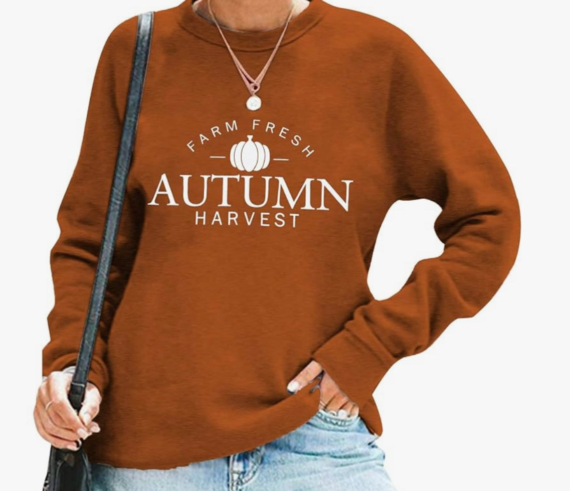 Autumn Harvest Crewneck/Brown