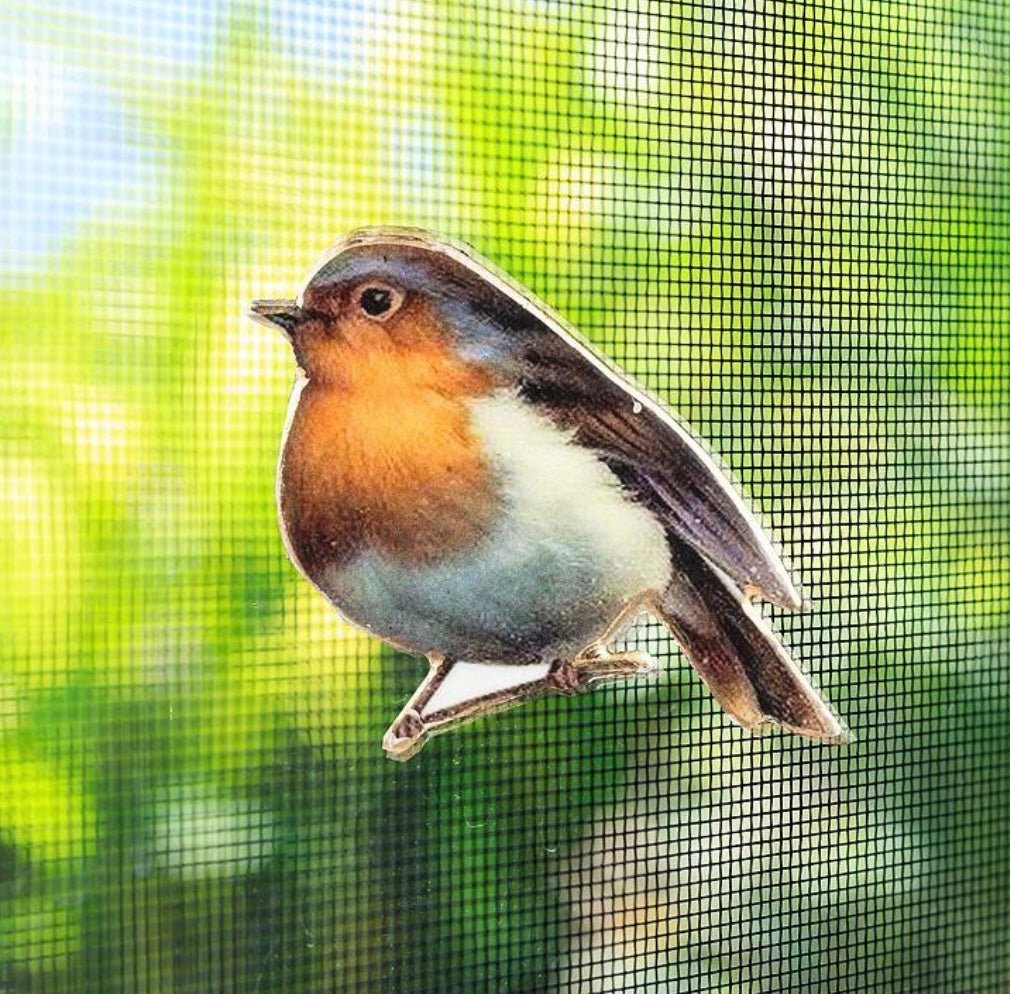 Bird Two-Sided Magnet