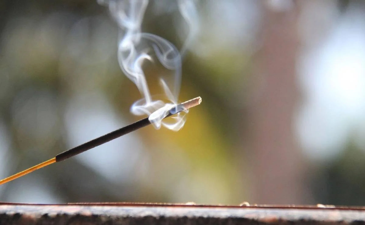 Citronella Incense Sticks (Box of 20)