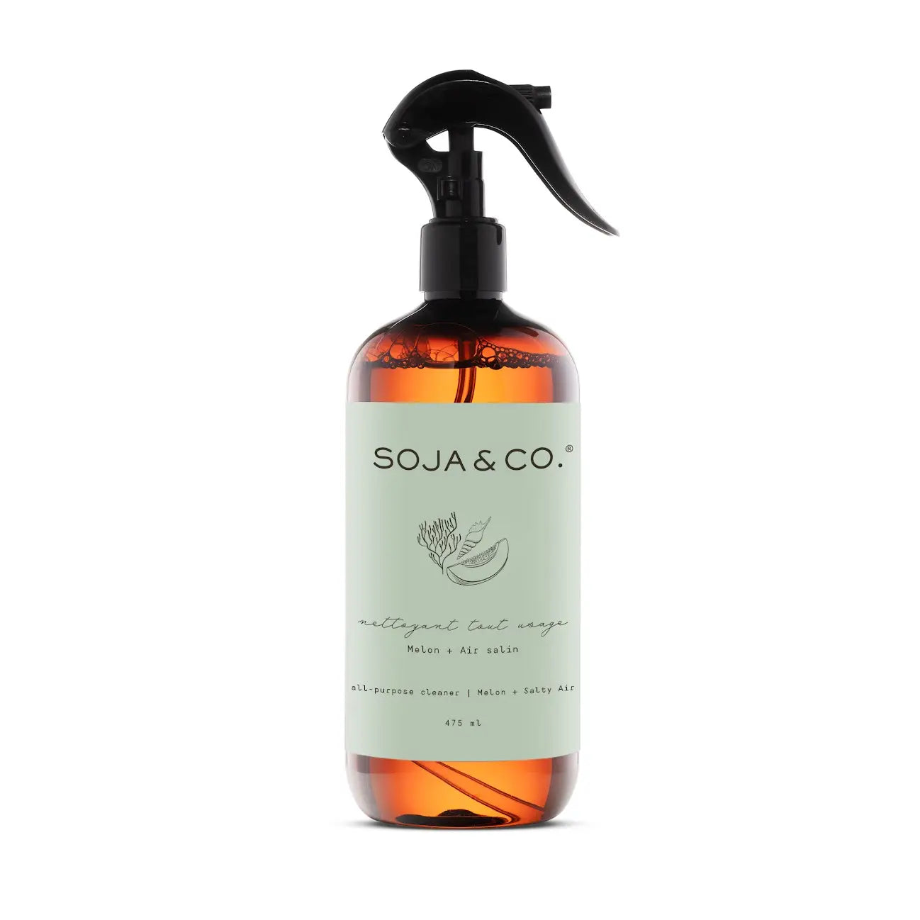 All Purpose Cleaner Melon + Salty Air