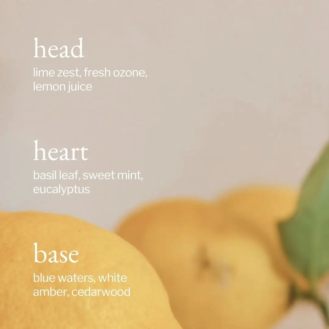 All Purpose Cleaner Lemon, Sage & Rosemary