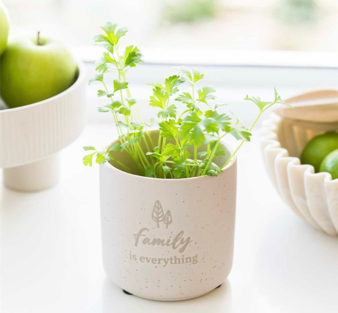 Assorted “Positive” Planter Pots