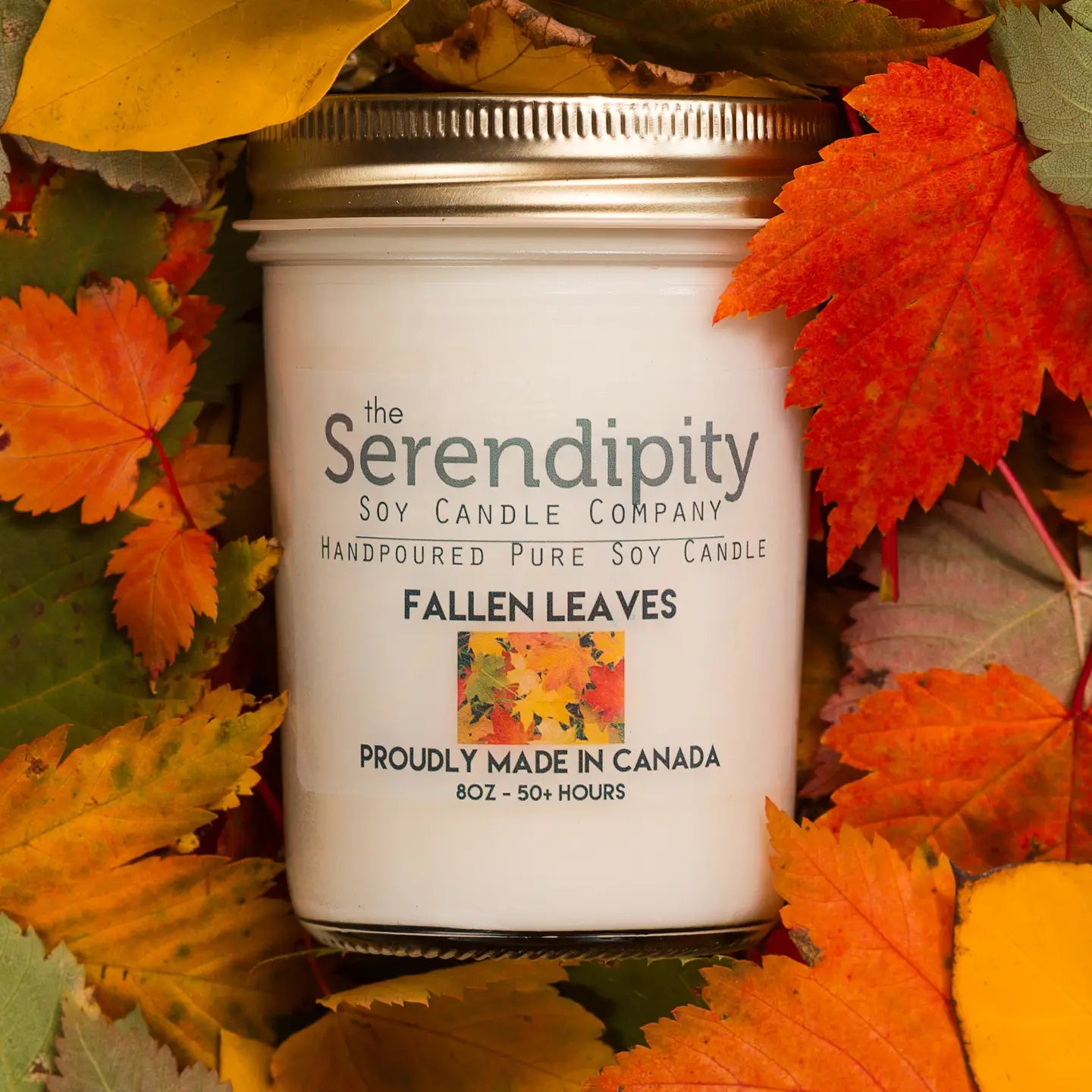 Fallen Leaves 8oz Jar Candle