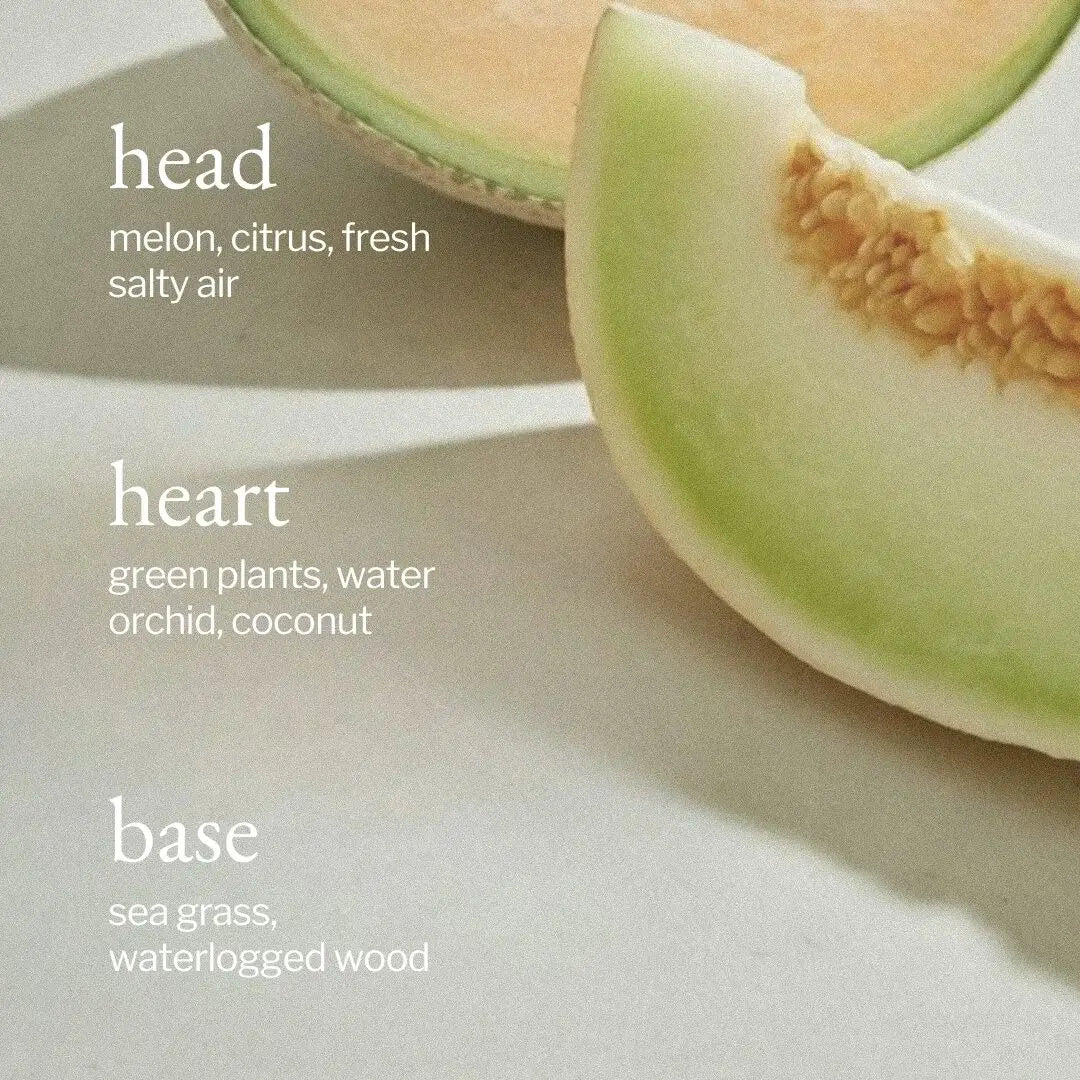 All Purpose Cleaner Melon + Salty Air