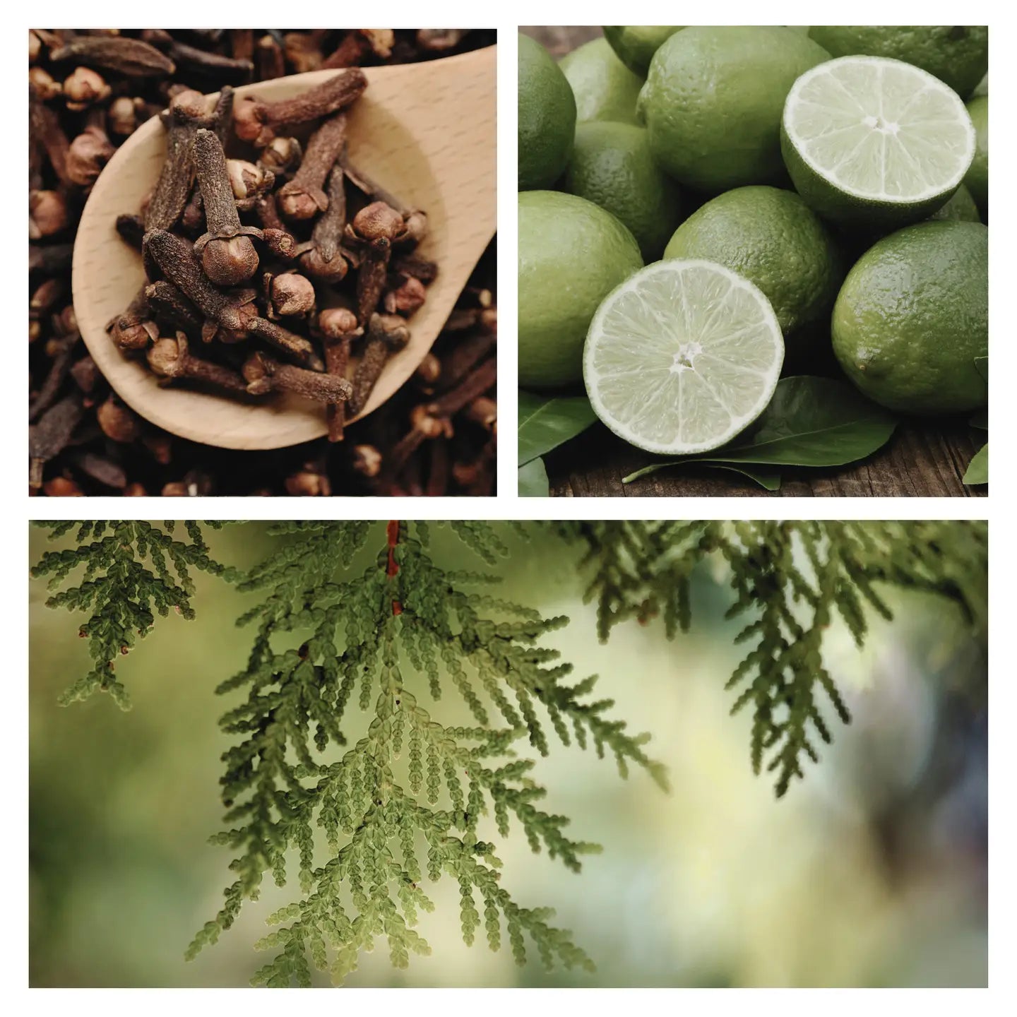 Be Northern Simmer Pot Mix