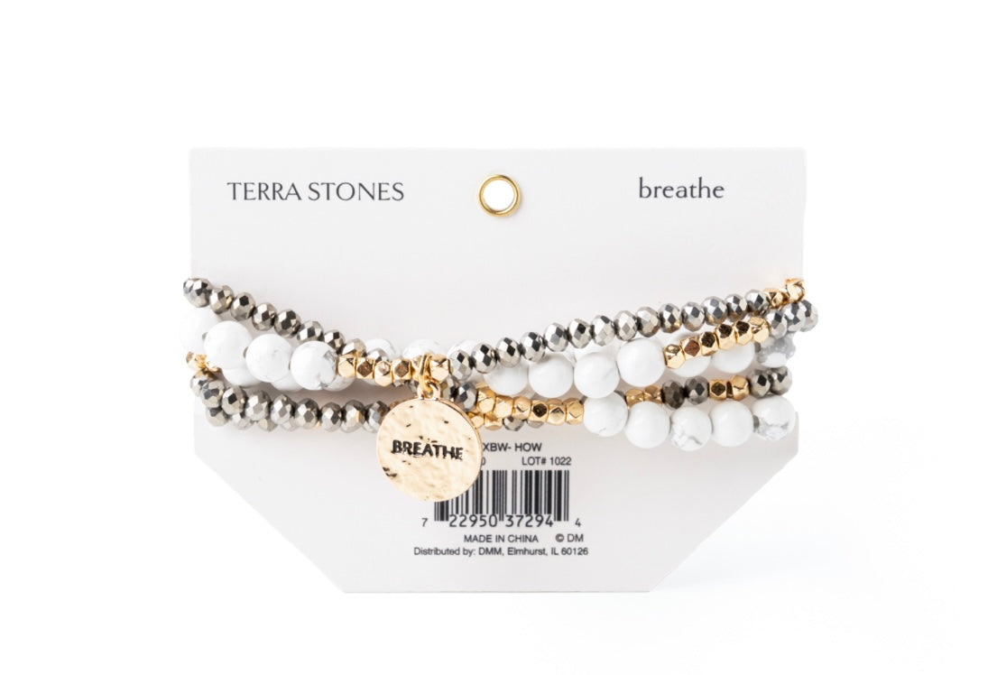 SS Bracelet/Necklace