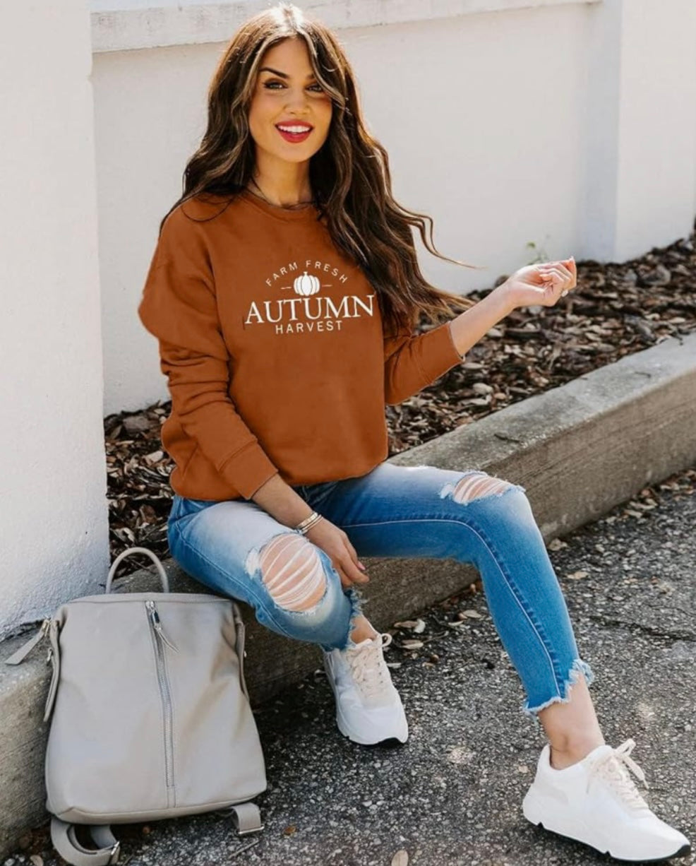 Autumn Harvest Crewneck/Brown