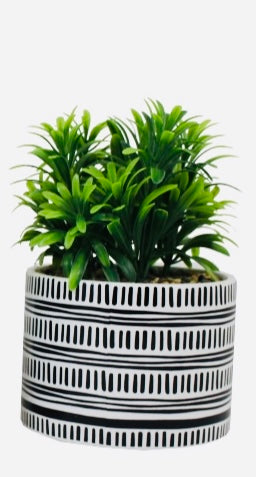 Patterned Potted Plant
