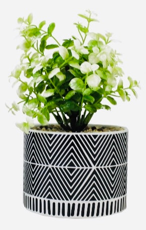 Patterned Potted Plant
