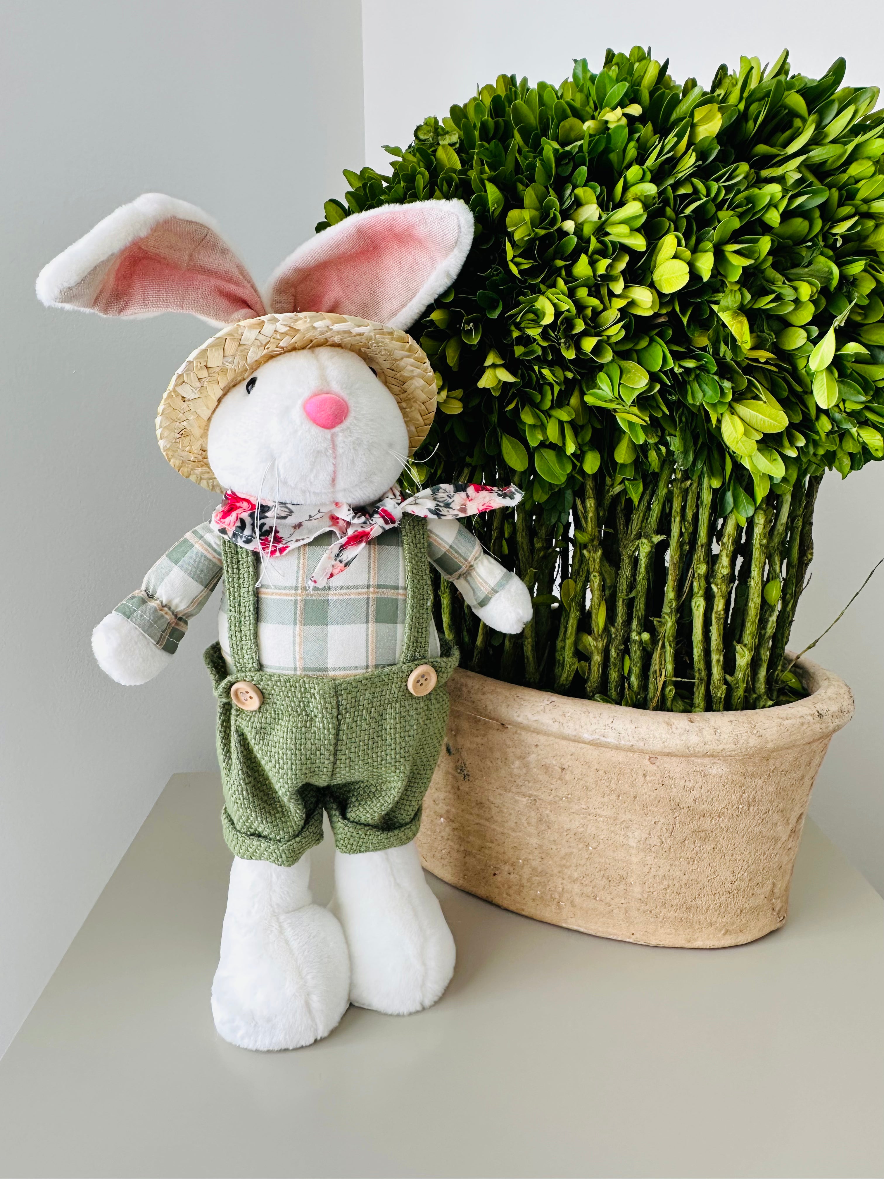 Mr. Easter Plush Bunny